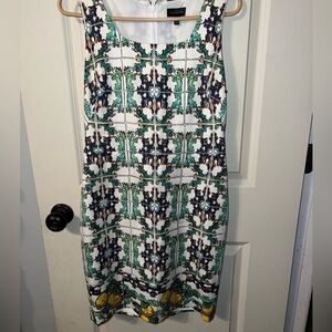 The Limited Dress
